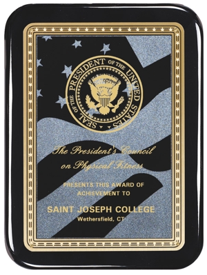 Black Plaque With American Flag Engraving Plate AP48